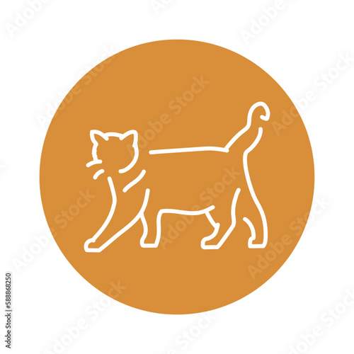 Happy cat standing color line icon. Pictogram for web page
