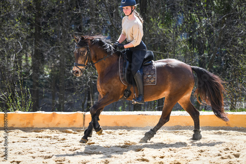 Reiten / Galopp