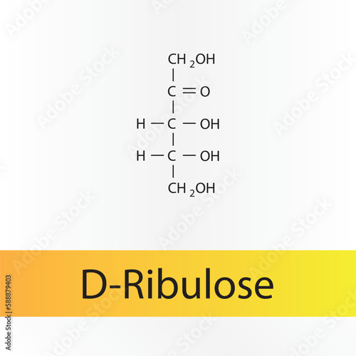 Straight chain form chemical structure of D-Ribulose sugar. Scientific vector illustration on white and orange background.