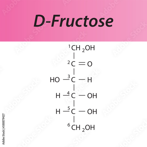 Straight chain form chemical structure of D-Fructose sugar. Scientific vector illustration on white and pink background, carbon numbering.