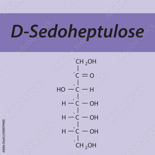 Straight chain form chemical structure of D-Sedoheptulose sugar. Scientific vector illustration on purple background, carbon numbering.