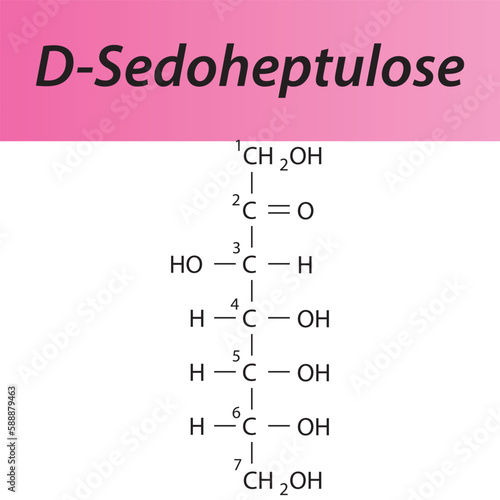 Straight chain form chemical structure of D-Sedoheptulose sugar. Scientific vector illustration on white and pink background, carbon numbering.