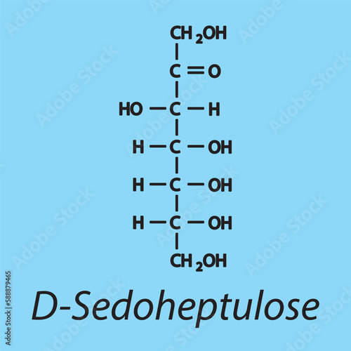Straight chain form chemical structure of D-Sedoheptulose sugar. Scientific vector illustration on blue background.