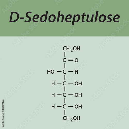 Straight chain form chemical structure of D-Sedoheptulose sugar. Scientific vector illustration on green background.