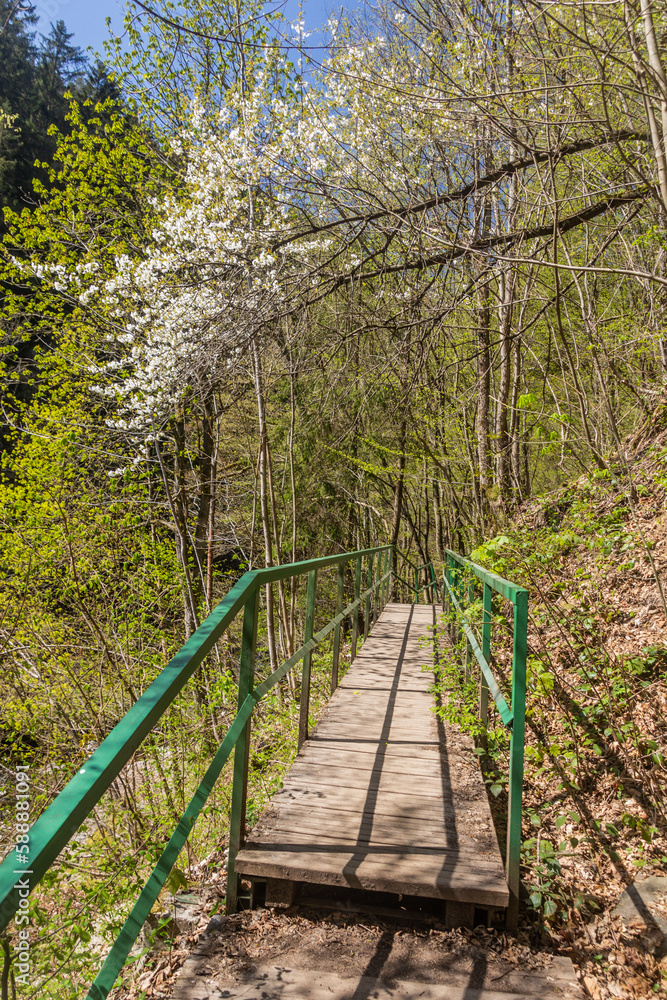 Boardwalk in Jizera river valley near Semily, part of Riegrova stezka path, Czechia Boardwalk in Jizera river valley near Semily, part of Riegrova stezka path, Czechia