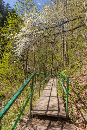 Boardwalk in Jizera river valley near Semily, part of Riegrova stezka path, Czechia photo