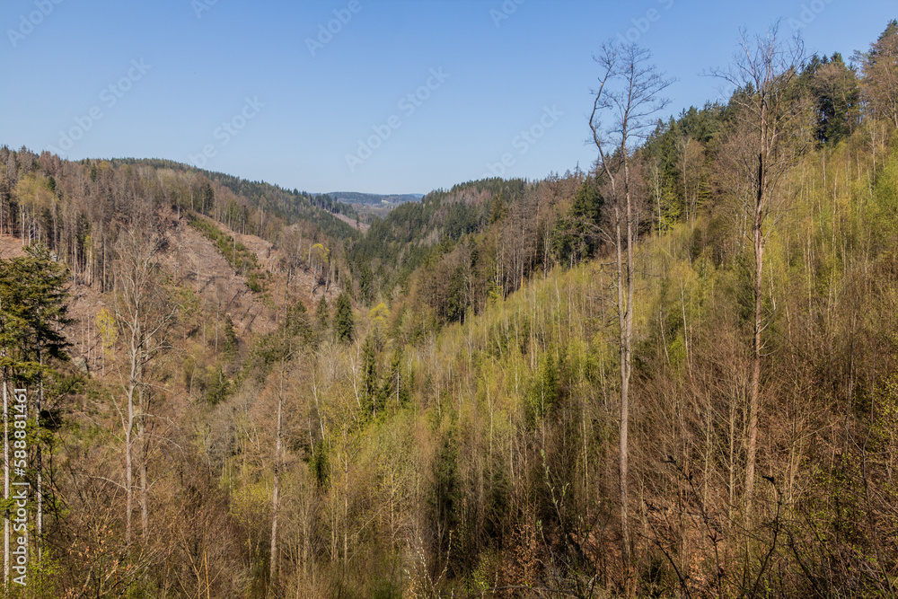 View of Jizera river valley near Spalov, Czechia View of Jizera river valley near Spalov, Czechia