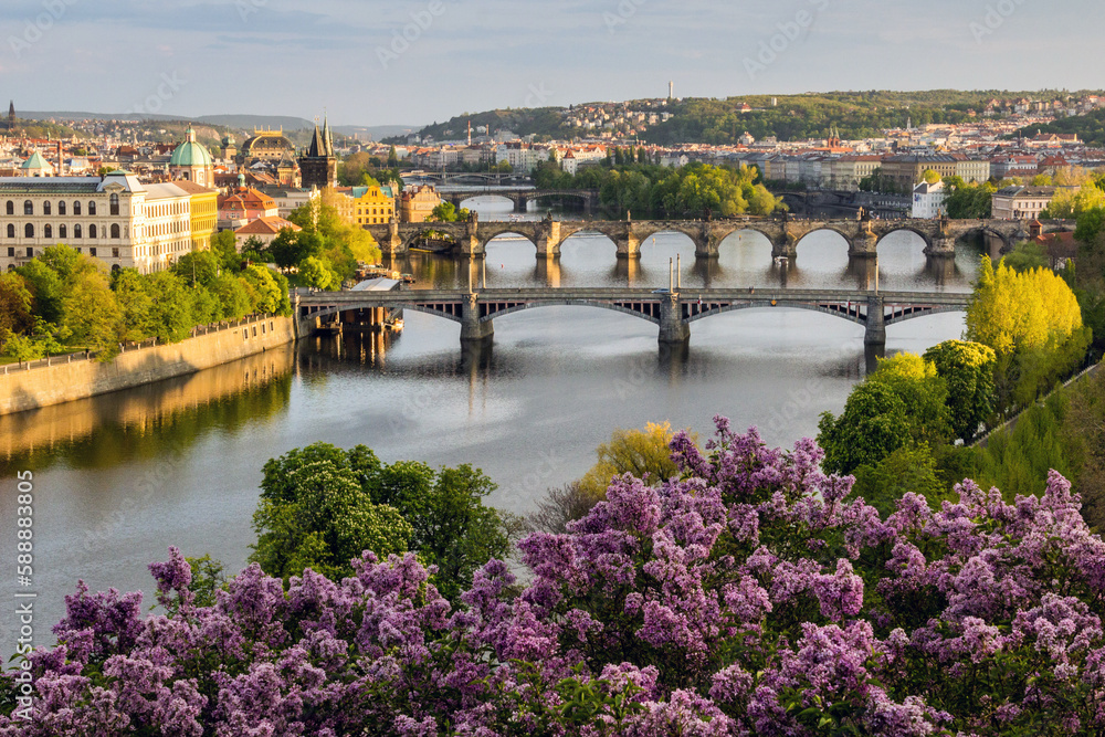 Spring view of lilac trees and bridges in Prague, Czech Republic