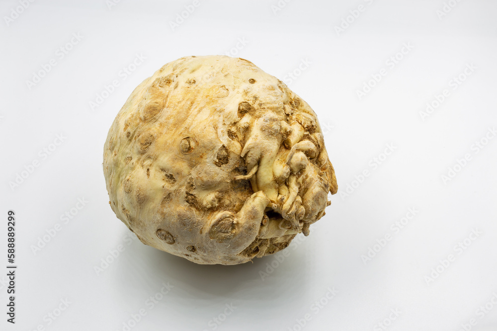 Single celery root closeup on white Single celery root closeup on white