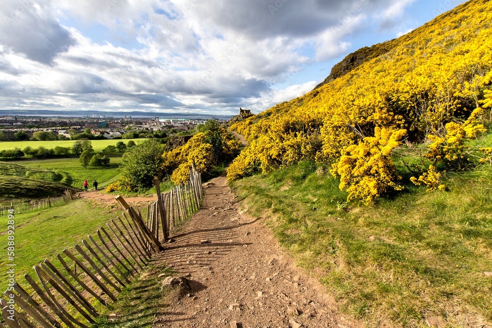 Obraz premium Holyrood park