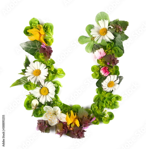Letter symbol U of colorful field fresh flowers isolated on white