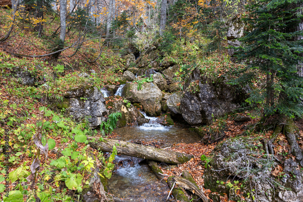 Autumn, nature walks, mountain panorama, stream sources and hiking trails, warm autumn weather. Autumn, nature walks, mountain panorama, stream sources and hiking trails, warm autumn weather.