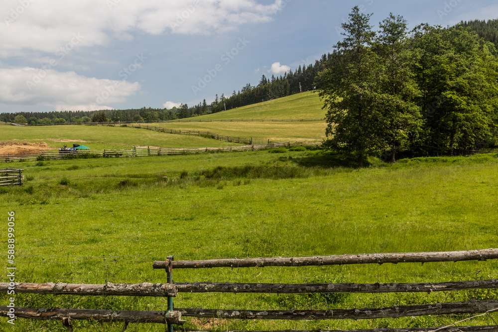 Obraz premium Meadows near Sanov village, Czech Republic