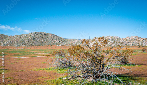 spring in the mountains