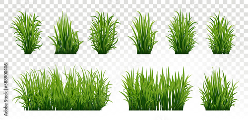 Green grass silhouette. Cartoon lines of plants and shrubs for boarding and framing, eco and organic logo element. Vector set spring field planting shapes lawn or borders garden on white background.