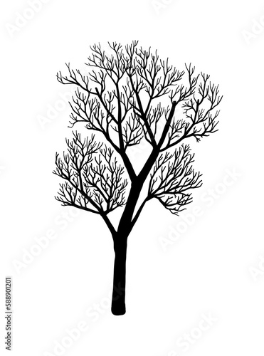 Winter trees silhouettes collection. Set of isolated vector design elements.. Hand drawn illustration in sketch style. Nature template. Clipart.