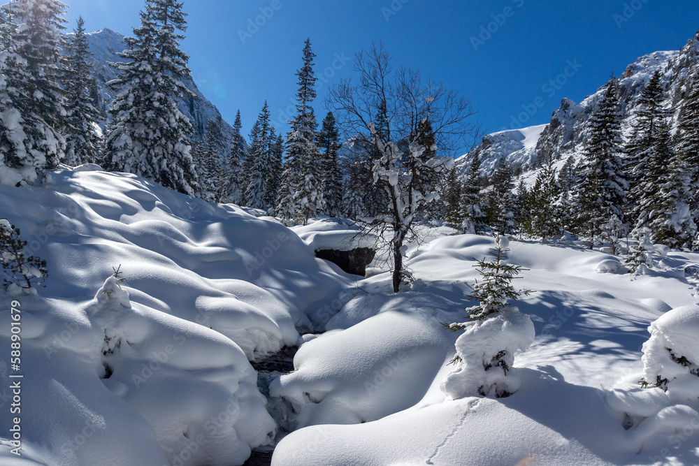 Winter view of Rila Mountain near Malyovitsa peak, Bulgaria Winter view of Rila Mountain near Malyovitsa peak, Bulgaria