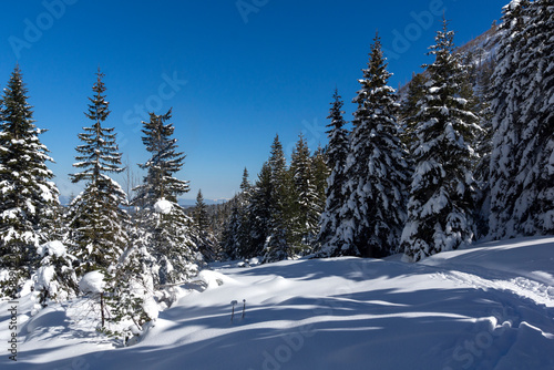 Winter view of Rila Mountain near Malyovitsa peak, Bulgaria