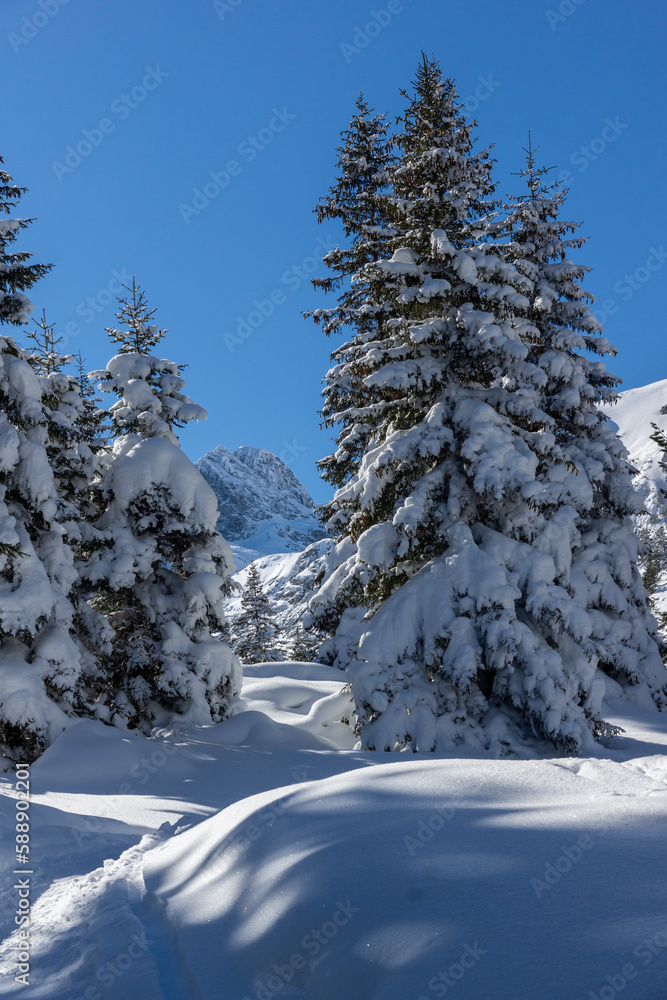Winter view of Rila Mountain near Malyovitsa peak, Bulgaria Winter view of Rila Mountain near Malyovitsa peak, Bulgaria