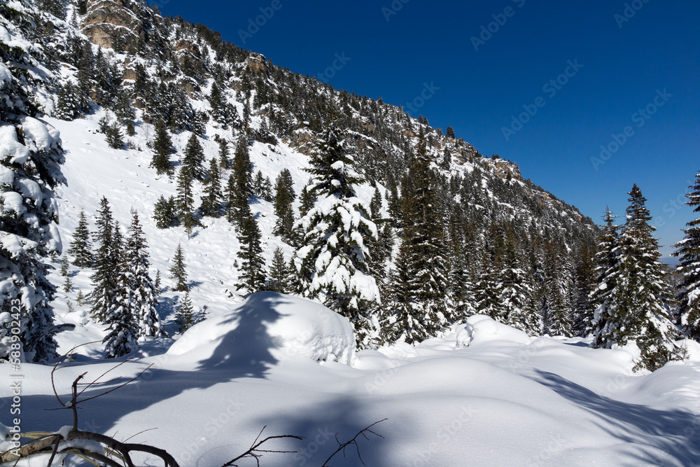 Fototapeta premium Winter view of Rila Mountain near Malyovitsa peak, Bulgaria