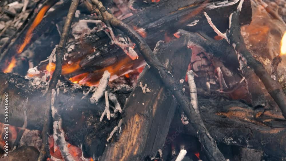 beautiful flaming wood fire. Oak wood. Flames are rising. charred wood beautiful flaming wood fire. Oak wood. Flames are rising. charred wood