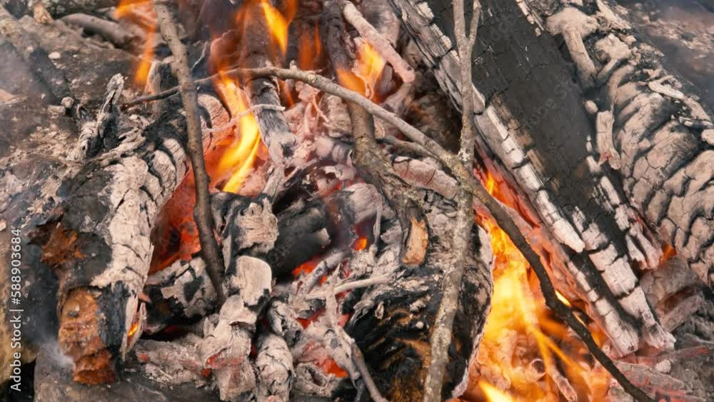 beautiful flaming wood fire. Oak wood. Flames are rising. charred wood beautiful flaming wood fire. Oak wood. Flames are rising. charred wood