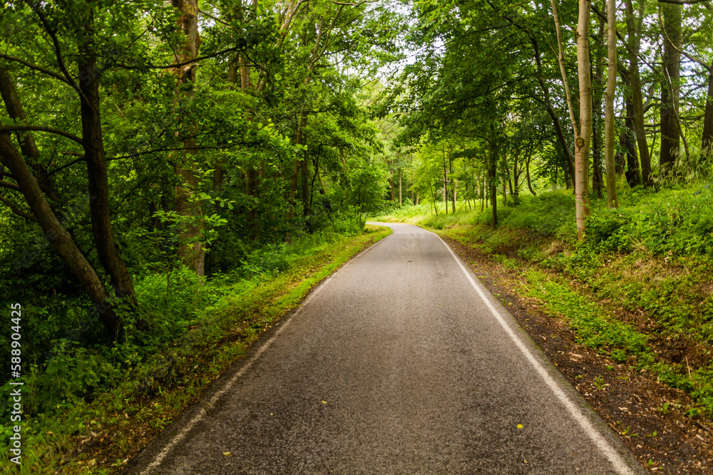 Fototapeta premium Rural road in Ceske Stredohori, Czech Republic