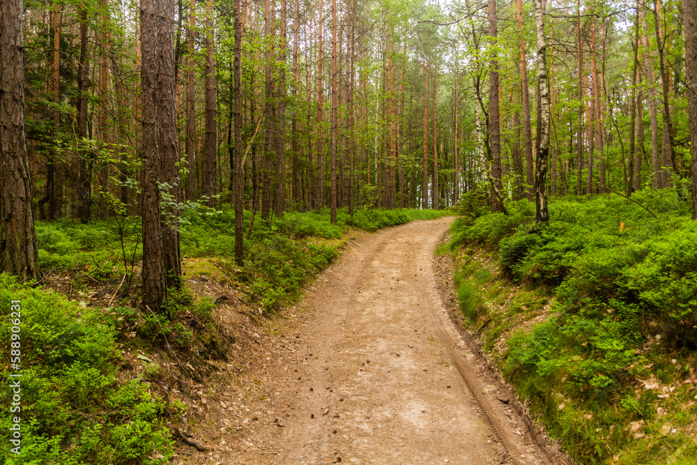 Hiking trail in the Protected Landscape Area Kokorinsko - Machuv kraj, Czech Republic Hiking trail in the Protected Landscape Area Kokorinsko - Machuv kraj, Czech Republic