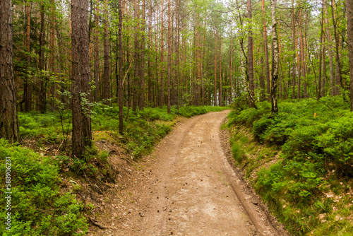 Hiking trail in the Protected Landscape Area Kokorinsko - Machuv kraj, Czech Republic © Matyas Rehak