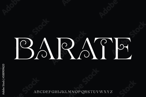 Natural elegant decorative serif style display font vector