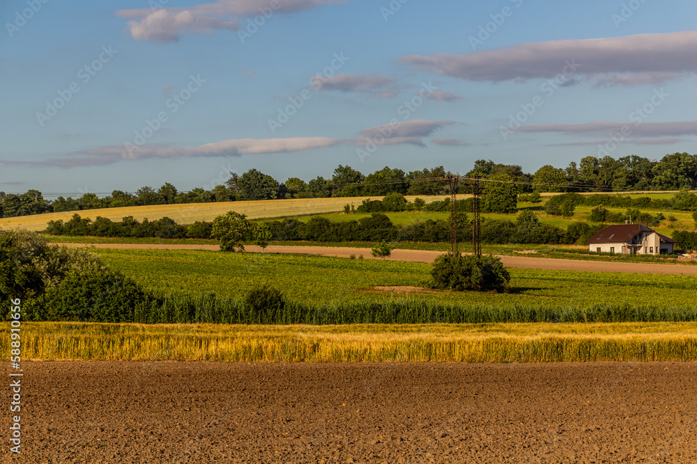 Fields near Lysa nad Labem, Czech Republic