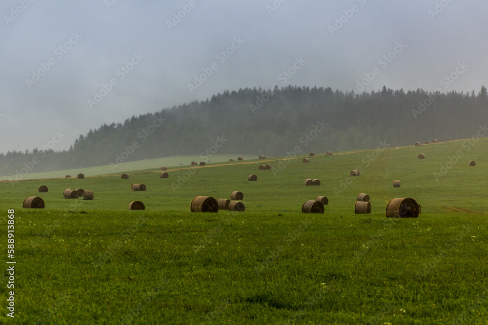 Meadows near the southernmost point of the Czech Republic Meadows near the southernmost point of the Czech Republic