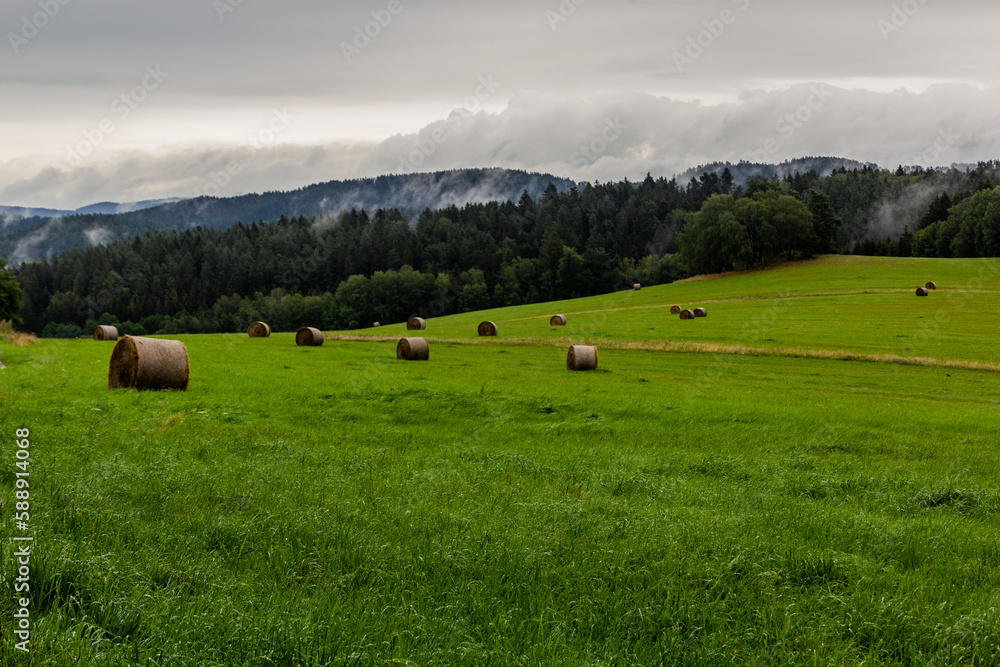 Meadows near the southernmost point of the Czech Republic