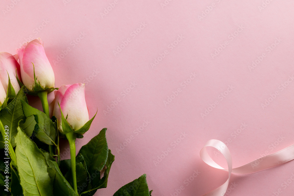 Fototapeta premium Image of pink tulips with ribbon and copy space on pink background