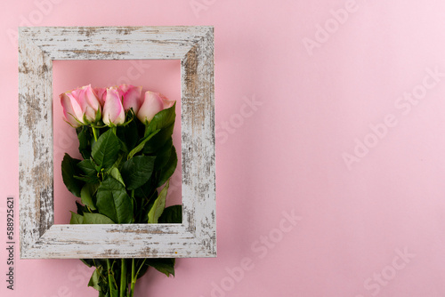 Image of pink tulips in frame with copy space on pink background