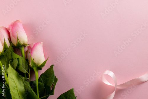 Image of pink tulips with ribbon and copy space on pink background