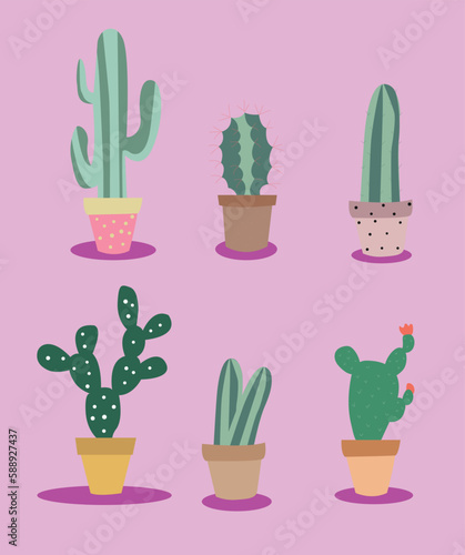 set of cactus