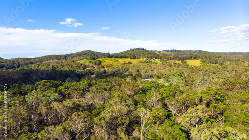 Beautiful famous Tinchi Tamba Wetlands  Bald Hills seeing from above. Drone shot  Brisbane  Queensland  Australia. 