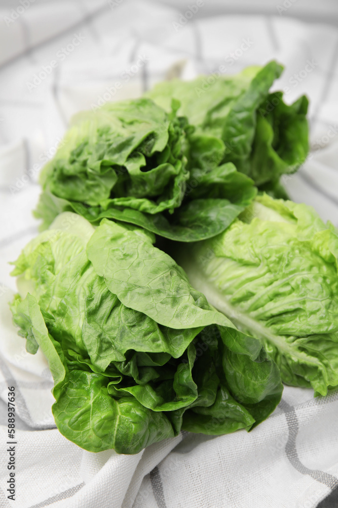 Fresh green romaine lettuces on kitchen towel, closeup Fresh green romaine lettuces on kitchen towel, closeup