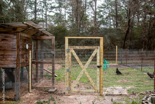 chicken coop