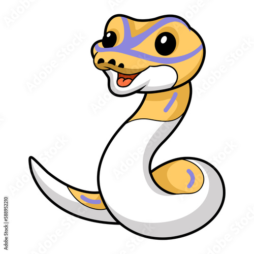 Cute banana pied ball python cartoon