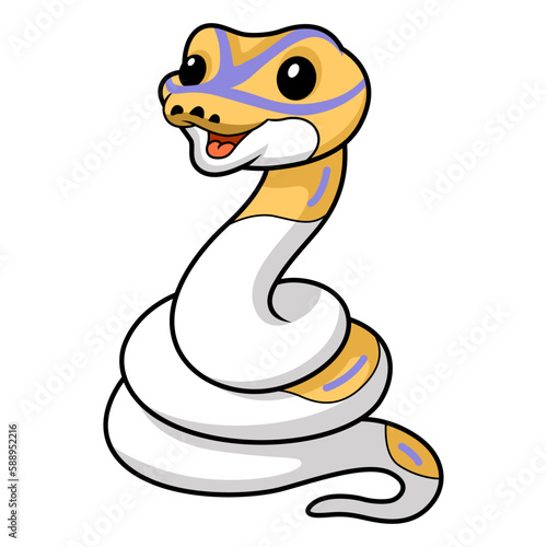 Cute banana pied ball python cartoon