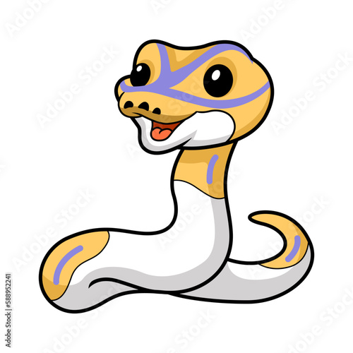 Cute banana pied ball python cartoon