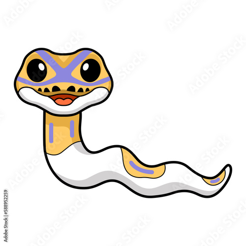 Cute banana pied ball python cartoon