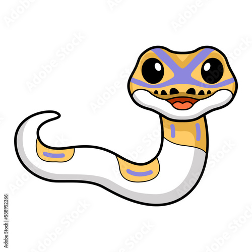Cute banana pied ball python cartoon