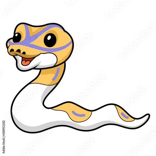 Cute banana pied ball python cartoon