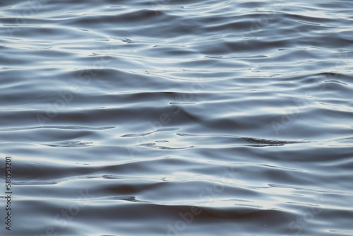 Blue gray glossy water surface with soft waves on Florida river