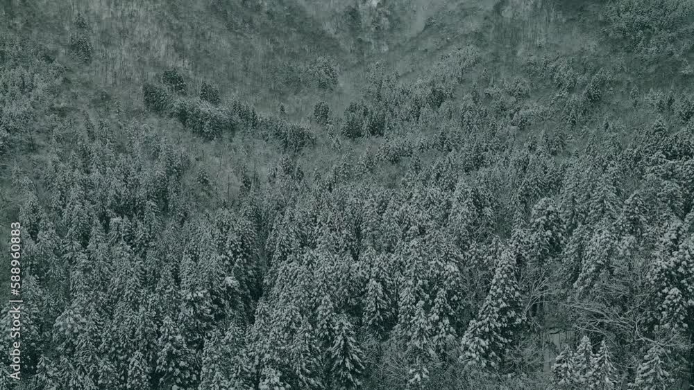 冬 越前市 味真野 ドローン 空撮 日野山 雪山 田んぼ 田園風景 雪原 山と田んぼ 仁愛大学 雪の積もった森 木 俯瞰 冬 越前市 味真野 ドローン 空撮 日野山 雪山 田んぼ 田園風景 雪原 山と田んぼ 仁愛大学 雪の積もった森 木 俯瞰