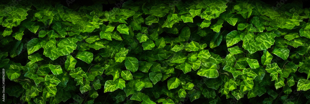 Fototapeta premium Panoramic background texture of green leaves. Generative AI
