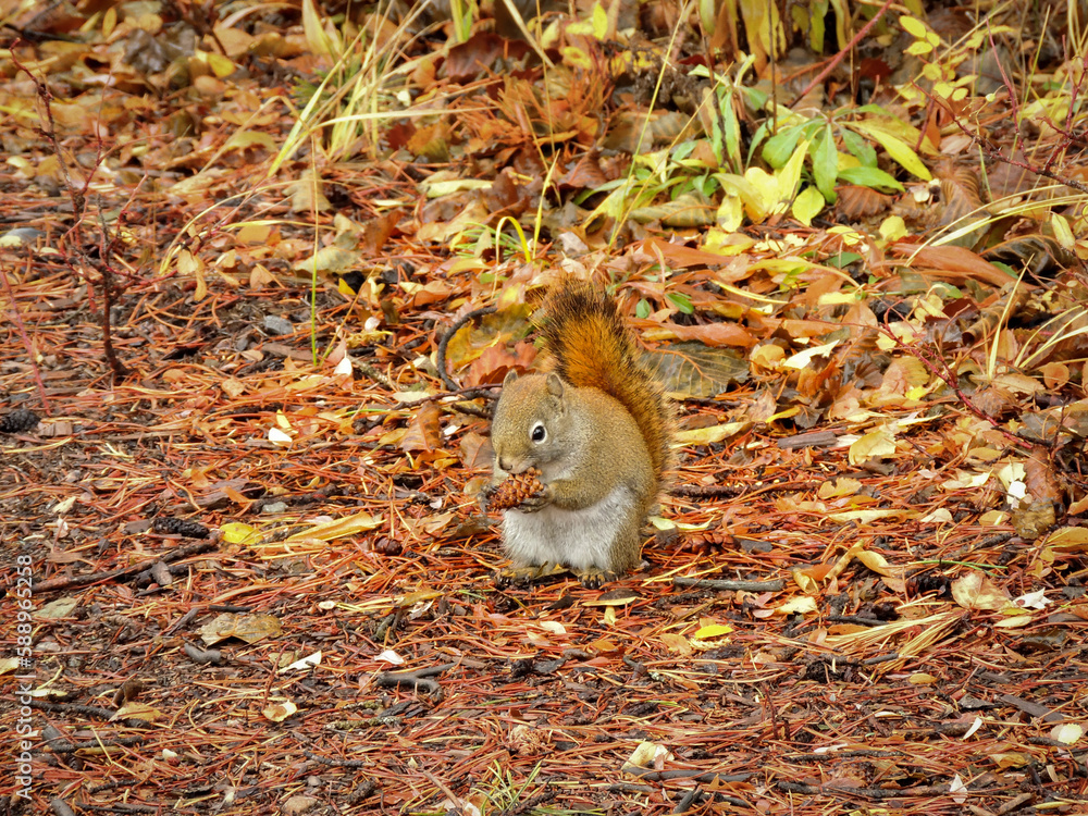 Lunchtime Lunchtime